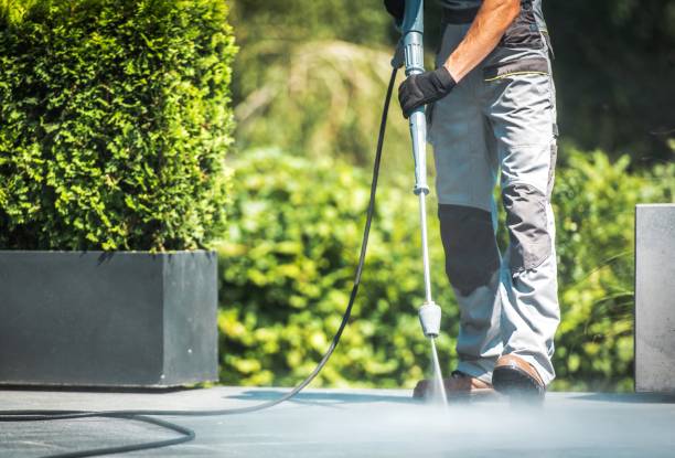Best Dumpster Area Cleaning  in Collingdale, PA